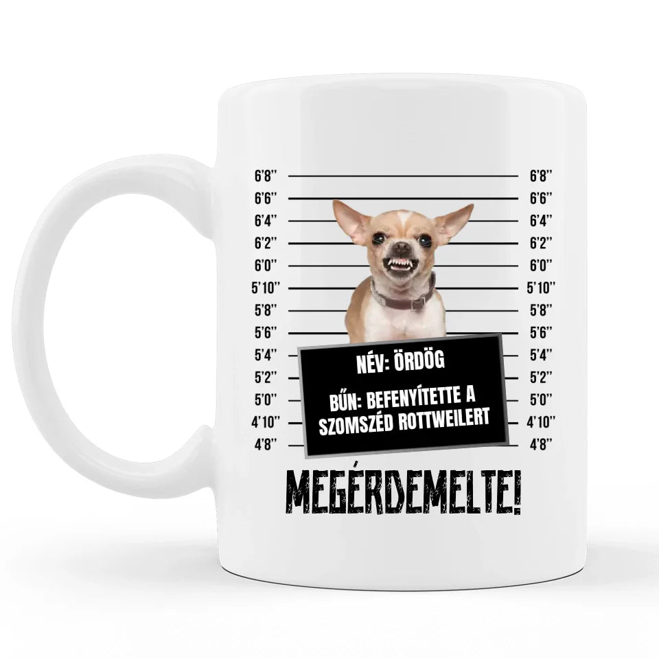 Kisállatos Rabfotós Bögre